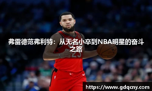 贝博艾弗森平台